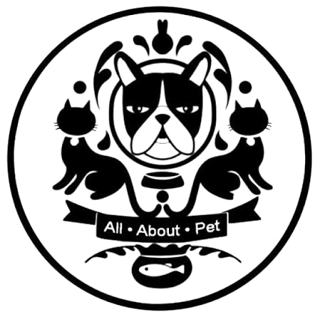 All About Pet